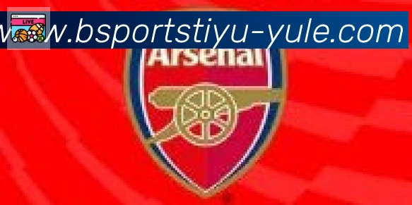 Bsports官网合作伙伴