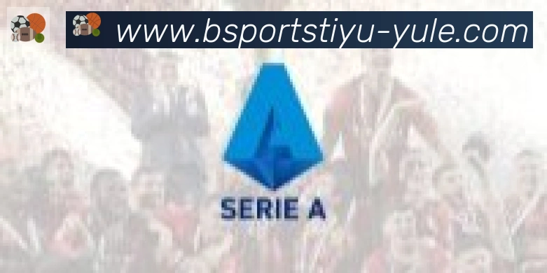 Bsports官网合作伙伴